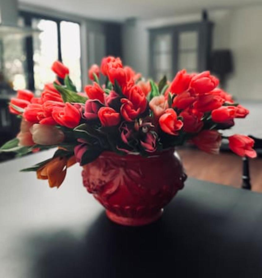 Bed And Breakfast Cherry Zaandam Ngoại thất bức ảnh